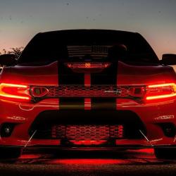 ORACLE LIGHTING 1443504