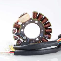 RICKS MOTORSPORT ELECTRICS 21816