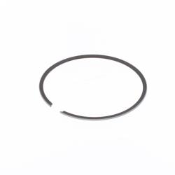 Athena S41316049