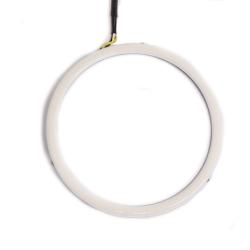 Diode Dynamics DD2066S