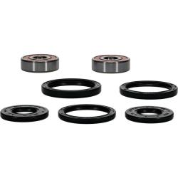PIV Wheel Bearing Kit Pivot Works 25-1311-P