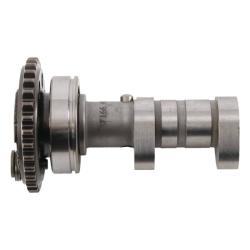 Hot Cams 4166-2EX
