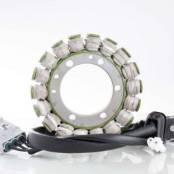 RICKS MOTORSPORT ELECTRICS 21819