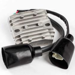 RICKS MOTORSPORT ELECTRICS 10156