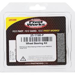 Pivot Works 25-1198-P