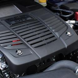 Perrin Performance PSP-ENG-166BK
