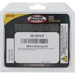 Pivot Works 25-1672-P