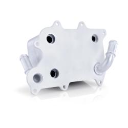 MISHIMOTO MMOCF2D11B