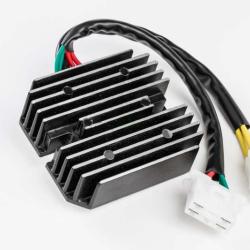 RICKS MOTORSPORT ELECTRICS 10132