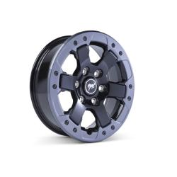 FORD RACING M1007DC17B