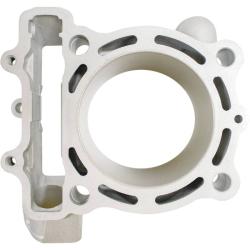 CYLINDER WORKS 310041