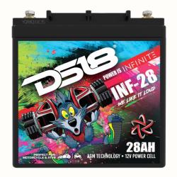 DS18 INF-28
