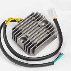 RICKS MOTORSPORT ELECTRICS 10117