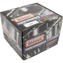 CYLINDER WORKS 310111