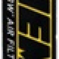 AEM INDUCTION 2820181