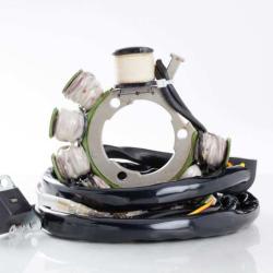 RICKS MOTORSPORT ELECTRICS 21554