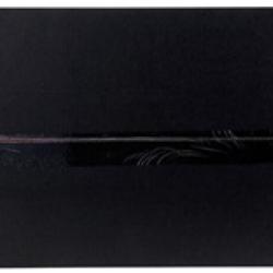 AEM INDUCTION 21833C