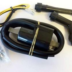 RICKS MOTORSPORT ELECTRICS 23102