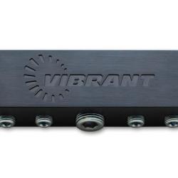 Vibrant 2691