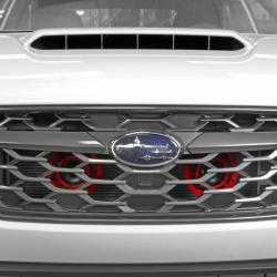 PERRIN PERFORMANCE PSPBDY305