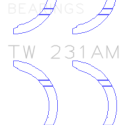 KING ENGINE BEARINGS TW231AM