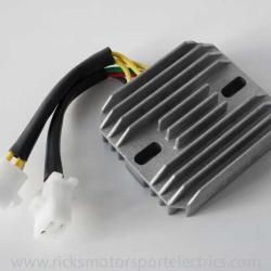 RICKS MOTORSPORT ELECTRICS 10026