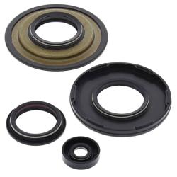 VERTEX PISTONS 55195