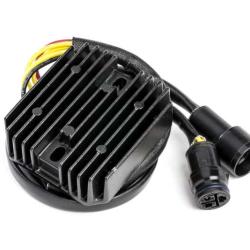 RICKS MOTORSPORT ELECTRICS 10150