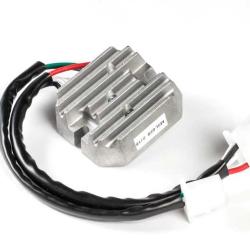 RICKS MOTORSPORT ELECTRICS 10401