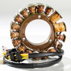 RICKS MOTORSPORT ELECTRICS 21727