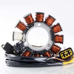 RICKS MOTORSPORT ELECTRICS 21556