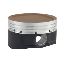 CP PISTONS SC74001