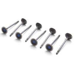 FORD RACING M6505M52