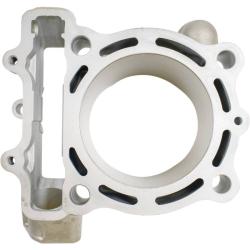 CYLINDER WORKS 310051