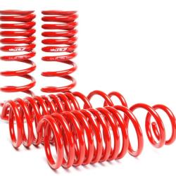 SK Lowering Springs Skunk2 Racing 519-05-1650