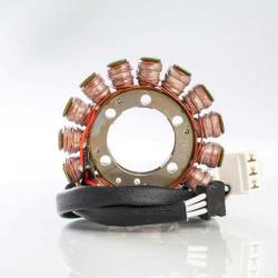 RICKS MOTORSPORT ELECTRICS 21231