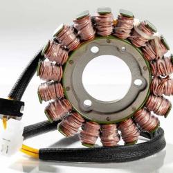 RICKS MOTORSPORT ELECTRICS 21336