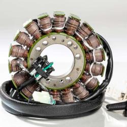 RICKS MOTORSPORT ELECTRICS 21029