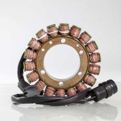 RICKS MOTORSPORT ELECTRICS 21060