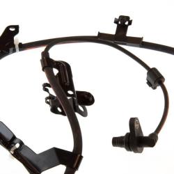HOLSTEIN 2ABS0230