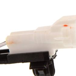 HOLSTEIN 2ABS0230