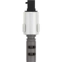 HOLSTEIN 2VTS0239
