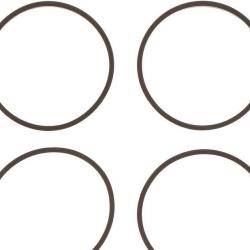 VICTOR REINZ 111679101