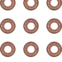 VICTOR REINZ 122949101