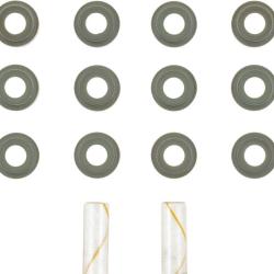 VICTOR REINZ 122949109