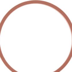 VICTOR REINZ 711357200