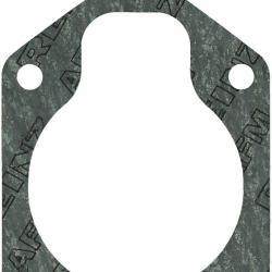 VICTOR REINZ 711655100