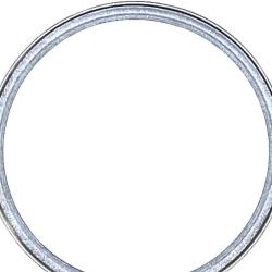 VICTOR REINZ 712495330