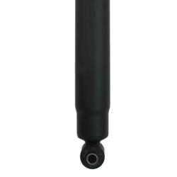 PRT 925434