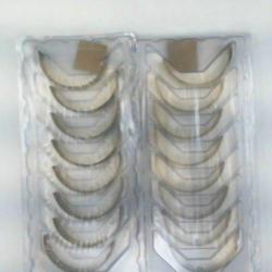 KING ENGINE BEARINGS CR808XPN